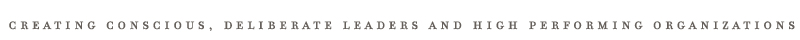 creating conscious, deliberate leaders and high performing organizations